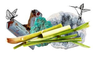 lemongrass feature image with crystals